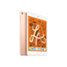 Apple iPad Mini [5th Gen] 7.9" Cellular + WiFi - www.laybyshop.com