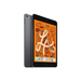 Apple iPad Mini [5th Gen] 7.9" Cellular + WiFi - www.laybyshop.com